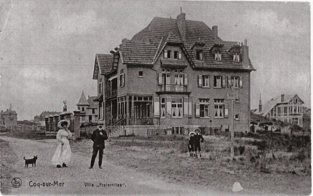 De Gouden Haan